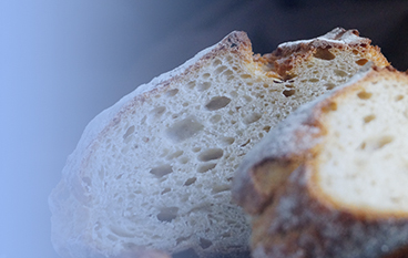  復(fù)合糖化酶