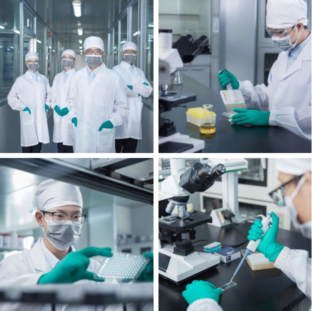 1648779369417843.png 006.png