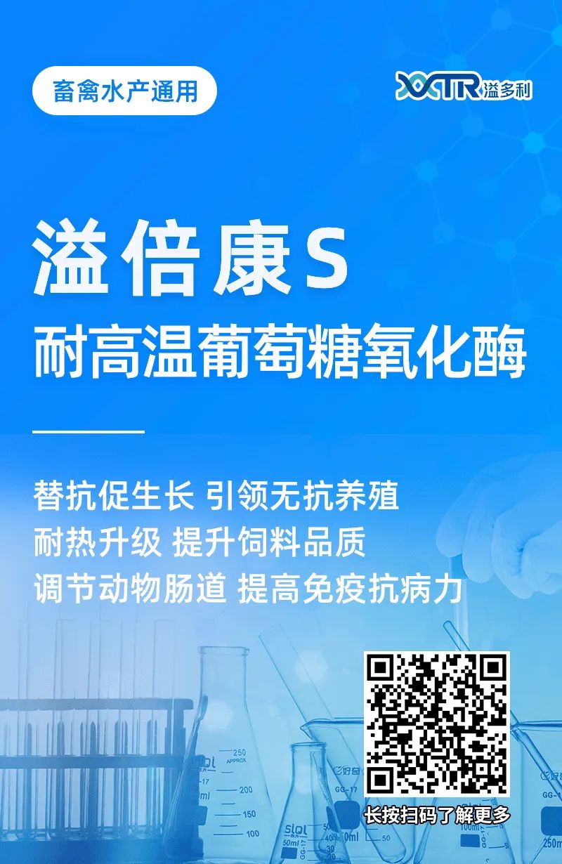 1651193820964812.jpg 04.jpg