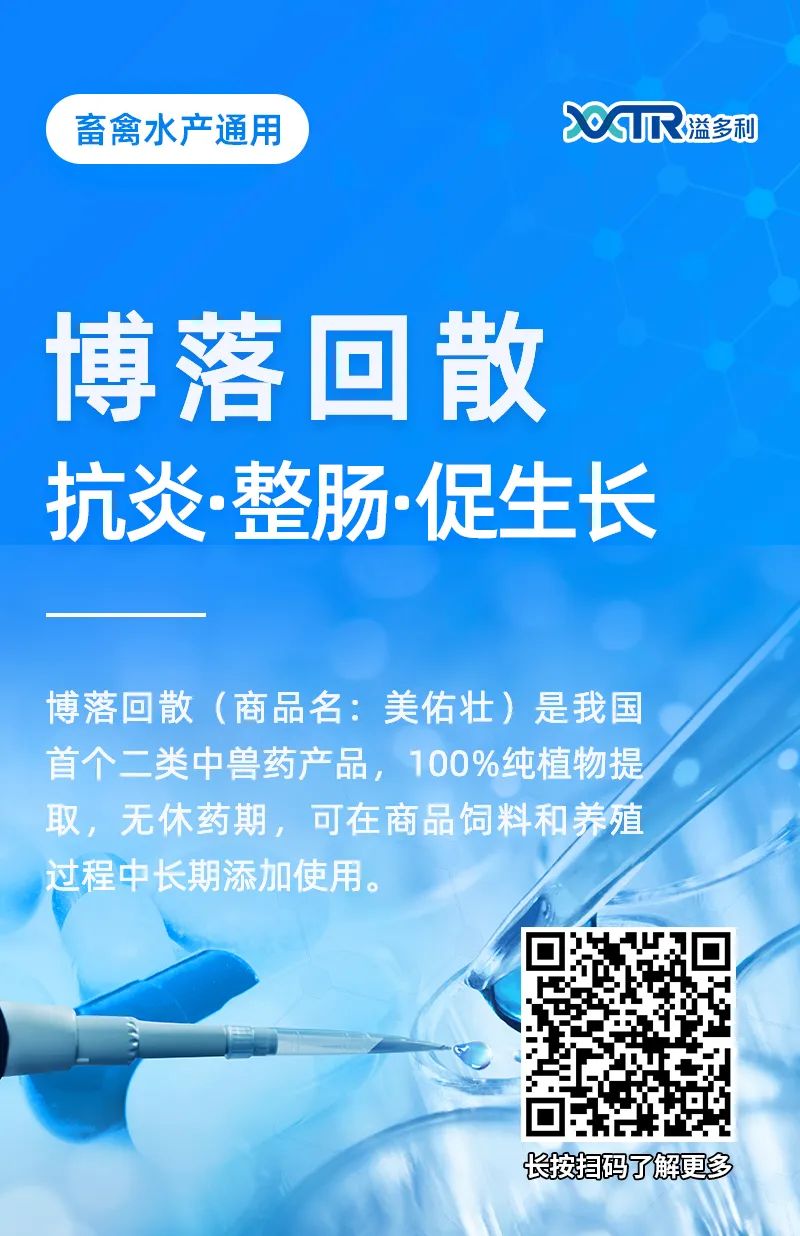 1651193840351489.jpg 05.jpg