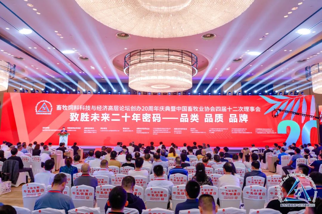 1702861866387619.jpg 07.jpg