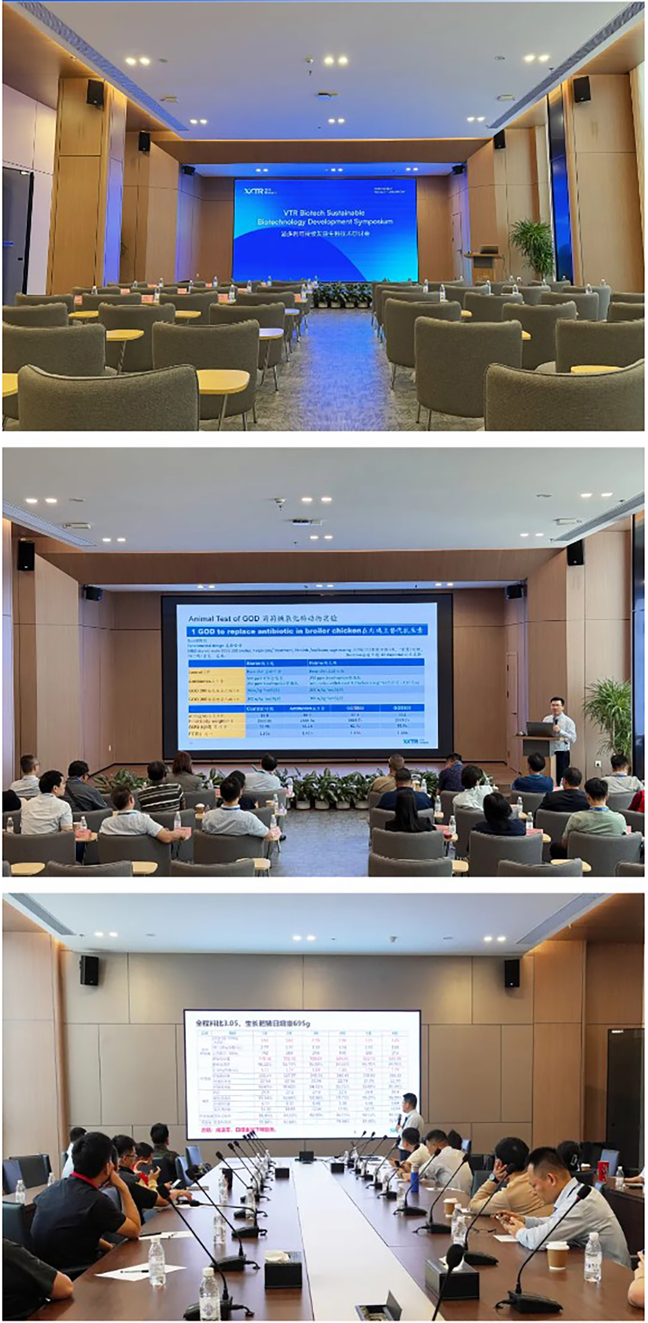 1732589264373119.jpg 11.jpg